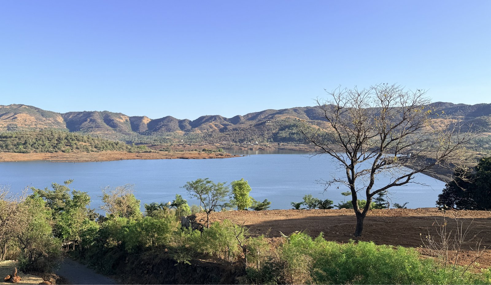 Fishing  : In Gunjavni Dam or Panshet Backwaters